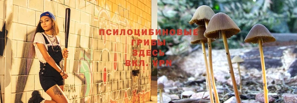 амф Беломорск